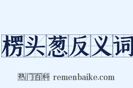 楞头葱反义词是什么意思的图片